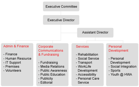 Organisation Structure